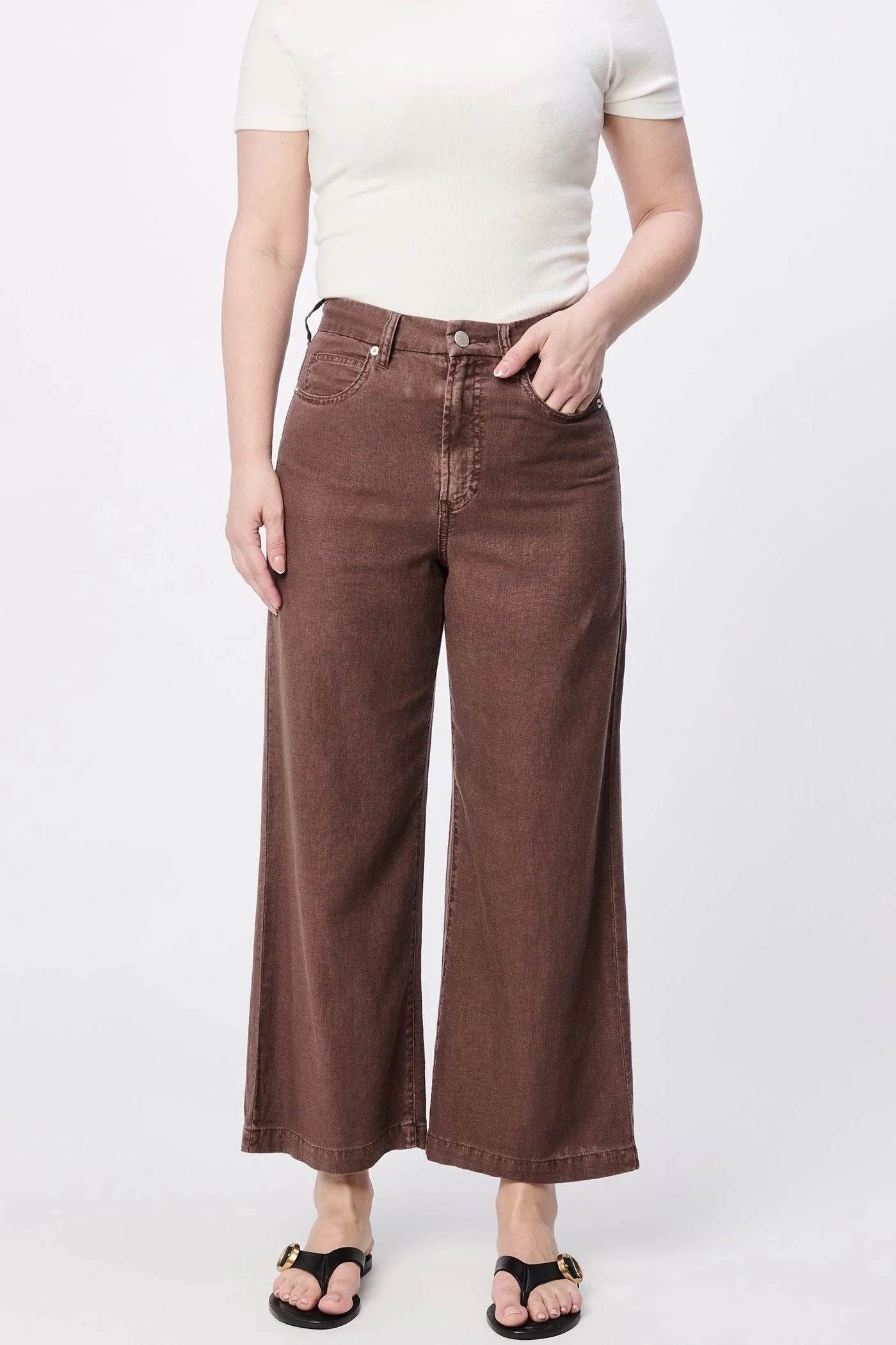 Mesh Lining StaticResistantFabric Audrey Wide Leg Pants - Cappuccino