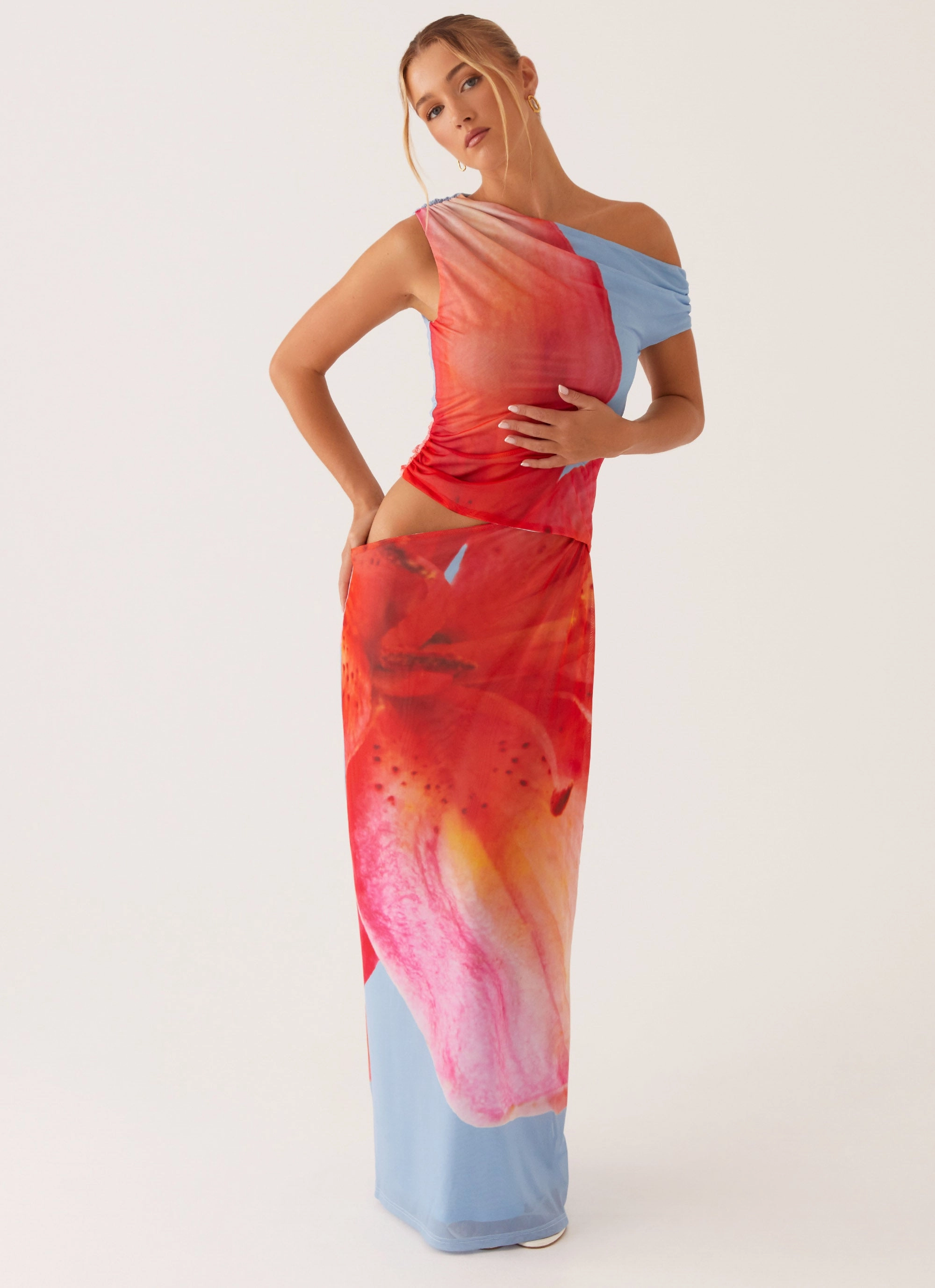 Santa Monica Maxi Dress - Blue Floral Elegant Appearance
