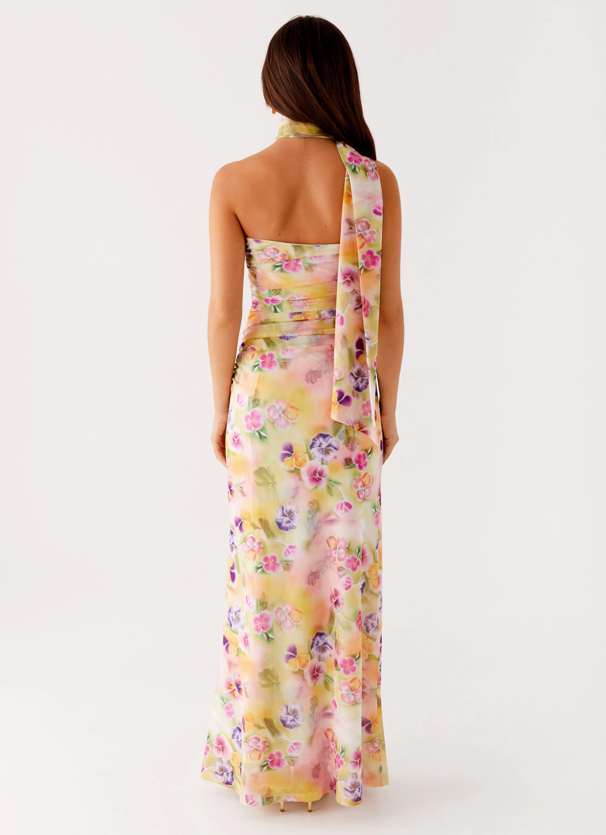 Songbird Maxi Dress - Sunburst Floral Collar Accent Structured Fit