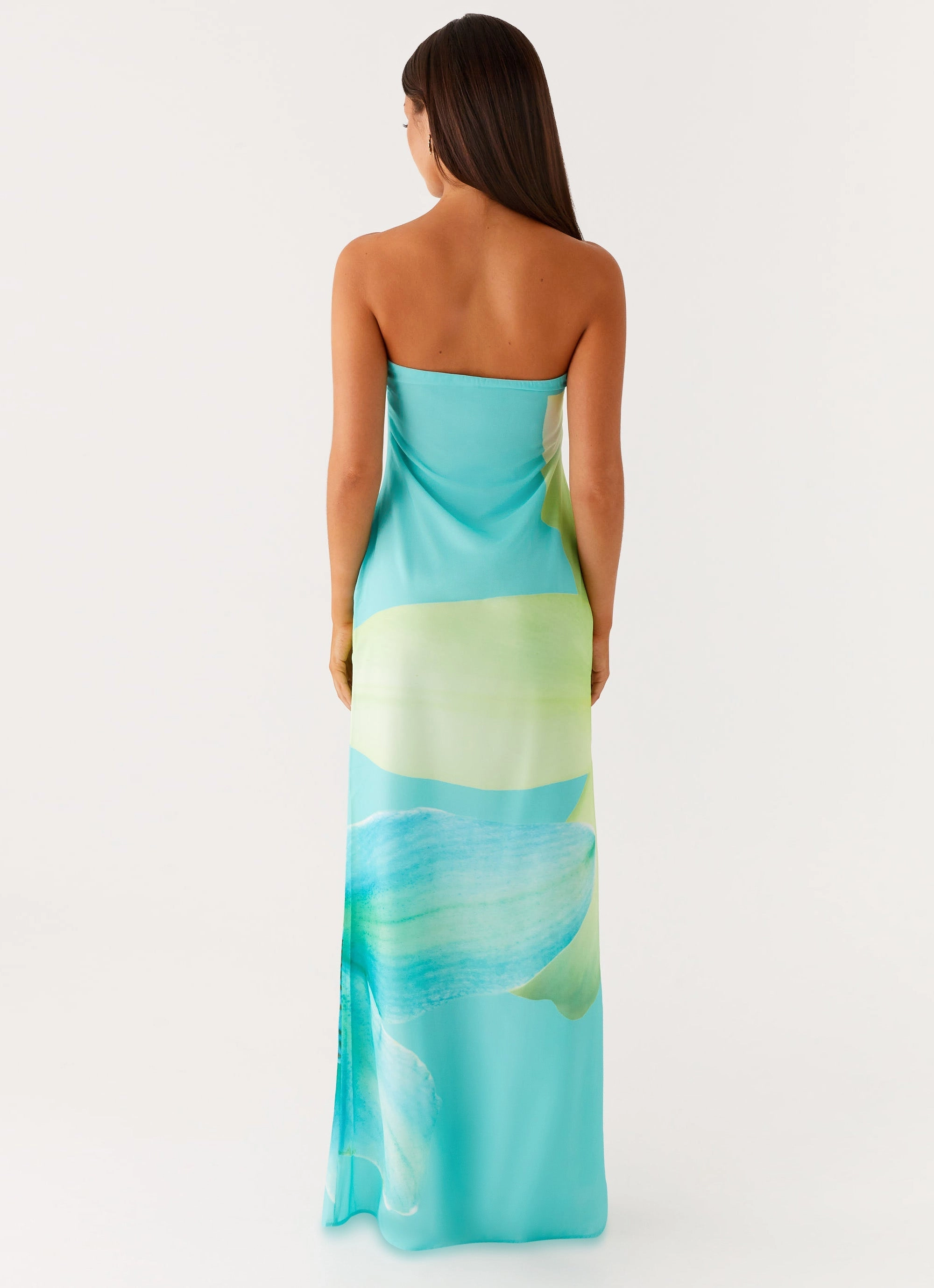 Velvet-Touch Darcy Maxi Dress - Turquoise Floral
